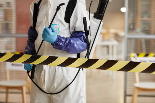 Professional Hoarding Cleanup technician working in Brokaw, WI